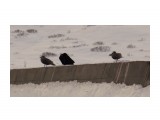 DSCN1917

Просмотров: 7620
Комментариев: 0