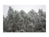 Название: IMGP8799
Фотоальбом: г.Луга 20-21.10.2012
Категория: Туризм, путешествия

Время съемки/редактирования: 2012:10:21 12:39:10
Фотокамера: PENTAX Corporation  - PENTAX K200D       
Диафрагма: f/5.6
Выдержка: 1/125
Фокусное расстояние: 4000/100



Просмотров: 329
Комментариев: 0