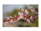 :)
Фотограф: Tsygankov Yuriy

Просмотров: 372
Комментариев: 0