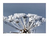 зимний
Фотограф: Олег Ан.

Просмотров: 987
Комментариев: 0