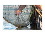 За усы ее... 

Просмотров: 2959
Комментариев: 0