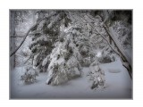 обкатка снегоступов
Фотограф: Федик О.Б.

Просмотров: 495
Комментариев: 0