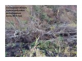 IMG_2018121346
В бассейне р. Амурская ведется добыча угля открытым способом

Просмотров: 2619
Комментариев: 0