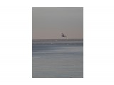 утро,море, чайки.
Фотограф: Фотохроник

Просмотров: 642
Комментариев: 0