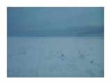 Название: стародубск
Фотоальбом: Разное
Категория: Природа

Просмотров: 701
Комментариев: 0