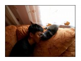 Название: Спим
Фотоальбом: Я
Категория: Животные

Просмотров: 3397
Комментариев: 2