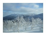 Название: 2010_0108Скала0075
Фотоальбом: Скала
Категория: Природа

Время съемки/редактирования: 2010:01:09 02:25:51
Фотокамера: FUJIFILM - FinePix F40fd  
Диафрагма: f/8.0
Выдержка: 10/20000
Фокусное расстояние: 800/100
Светочуствительность: 200


Просмотров: 753
Комментариев: 0