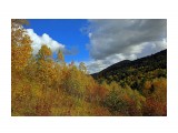 102-к

Просмотров: 652
Комментариев: 0