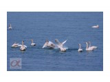 ***
Фотограф: Сергей Буркацкий

Просмотров: 1247
Комментариев: 0