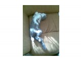Grin006

Просмотров: 728
Комментариев: 