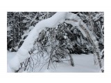 Зима на перевале..
Фотограф: vikirin

Просмотров: 1642
Комментариев: 0