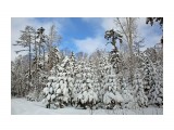 008-к

Просмотров: 926
Комментариев: 0