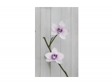 Название: резинки орхидея
Фотоальбом: Моё хобби, делаю на заказ.
Категория: Хобби
Описание: сделано из фоамирана

Просмотров: 3222
Комментариев: 0