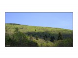 2012.06.12 14-36-37

Просмотров: 319
Комментариев: 0
