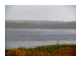 Ливень, дождь чайкам не помеха
Фотограф: vikirin

Просмотров: 3778
Комментариев: 0