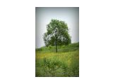 Название: Одиноко
Фотоальбом: ПРИРОДКА ВСЯКАЯ
Категория: Природа
Фотограф: Маринич РВ

Время съемки/редактирования: 2009:08:04 13:33:00
Фотокамера: NIKON CORPORATION - NIKON D60
Диафрагма: f/11.0
Выдержка: 625/100000
Фокусное расстояние: 31/1
Светочуствительность: 200


Просмотров: 3113
Комментариев: 0