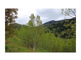 017-к

Просмотров: 397
Комментариев: 0