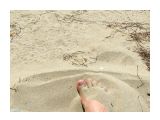 Горячий песочек...
Фотограф: vikirin

Просмотров: 4169
Комментариев: 0