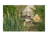 Владивосток
Фотограф: vikirin

Просмотров: 1009
Комментариев: 0