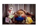 Название: Не упаковывается!
Фотоальбом: Собаки
Категория: Животные

Просмотров: 536
Комментариев: 0