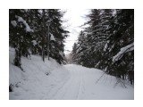 Зимний лес.
Фотограф: viktorb

Просмотров: 1314
Комментариев: 0