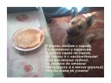 Банга и блины)

Просмотров: 3748
Комментариев: 0