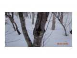 DSC00377
чага на ольхе

Просмотров: 789
Комментариев: 