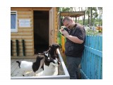 Название: Фотосессия
Фотоальбом: Зоопарк
Категория: Разное

Время съемки/редактирования: 2015:07:20 19:44:52
Фотокамера: Canon - Canon EOS 550D
Диафрагма: f/4.0
Выдержка: 1/400
Фокусное расстояние: 26/1



Просмотров: 567
Комментариев: 0