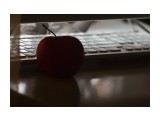Название: ***
Фотоальбом: Натюрморт
Категория: Натюрморт
Фотограф: altazet

Просмотров: 2992
Комментариев: 0