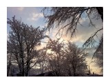 Первый снег 29 октября.. Пушистое утро
Фотограф: vikirin

Просмотров: 3240
Комментариев: 0