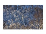 876

Просмотров: 367
Комментариев: 0