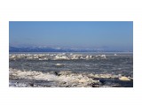 Стародубское

Просмотров: 2926
Комментариев: 0