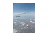 SDC10088

Просмотров: 581
Комментариев: 