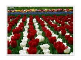 7

Просмотров: 3292
Комментариев: 0