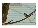 ***
Фотограф: Сергей Буркацкий

Просмотров: 1099
Комментариев: 0