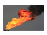факел
Фотограф: vikirin

Просмотров: 1474
Комментариев: 0