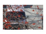 Название: птиц
Фотоальбом: птички
Категория: Животные

Время съемки/редактирования: 2017:02:21 11:42:46
Фотокамера: Canon - Canon EOS 600D
Диафрагма: f/5.6
Выдержка: 1/2000
Фокусное расстояние: 200/1



Просмотров: 516
Комментариев: 0