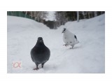 ***
Фотограф: Сергей Буркацкий

Просмотров: 1377
Комментариев: 0