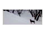 DSC08586

Просмотров: 524
Комментариев: 0