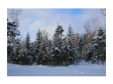 009-к

Просмотров: 561
Комментариев: 0