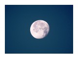 Луна на рассвете
Фотограф: vikirin

Просмотров: 4357
Комментариев: 0