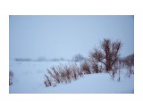 обкатка снегоступов 11
Фотограф: Федик О.Б.

Просмотров: 531
Комментариев: 0