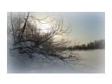 Название: весна не за горами
Фотоальбом: природа
Категория: Природа

Время съемки/редактирования: 2016:03:10 18:44:15
Фотокамера: Canon - Canon EOS 6D
Диафрагма: f/5.6
Выдержка: 1/640
Фокусное расстояние: 24/1



Просмотров: 3381
Комментариев: 0