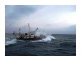 РС пошел на рыбалку

Просмотров: 2871
Комментариев: 0