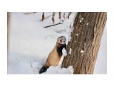 Круз
Фотограф: Tsygankov Yuriy

Просмотров: 886
Комментариев: 0