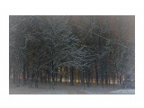 ===

Просмотров: 3157
Комментариев: 0