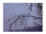 DSC00014

Просмотров: 453
Комментариев: 0