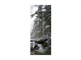 265-пан-к

Просмотров: 715
Комментариев: 0