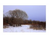первый снег

Просмотров: 3196
Комментариев: 0