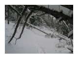Прогрызено Бобрами :)

Просмотров: 475
Комментариев: 0